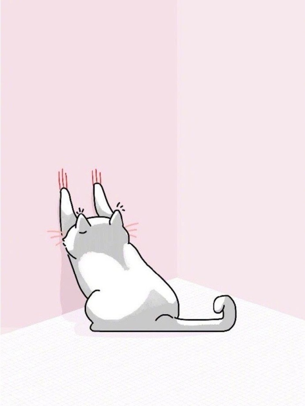 Meet your Posher, Kitty
